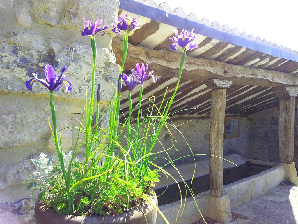 Casa Rural Basaula Muneta Esterno foto